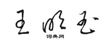 骆恒光王明玉草书个性签名怎么写