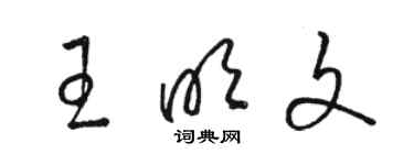 骆恒光王明文草书个性签名怎么写