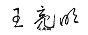 骆恒光王亮明草书个性签名怎么写