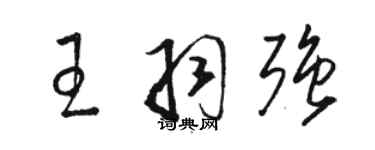骆恒光王羽强草书个性签名怎么写