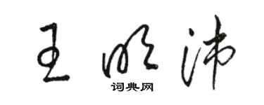 骆恒光王明沛草书个性签名怎么写