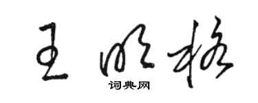 骆恒光王明格草书个性签名怎么写