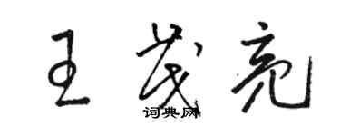 骆恒光王茂亮草书个性签名怎么写