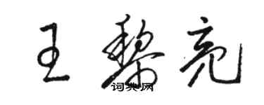骆恒光王黎亮草书个性签名怎么写