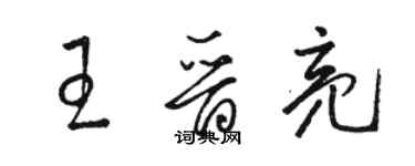 骆恒光王晋亮草书个性签名怎么写
