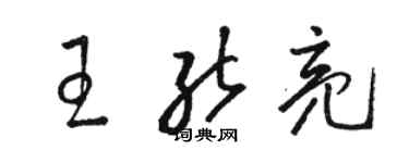 骆恒光王能亮草书个性签名怎么写