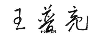 骆恒光王普亮草书个性签名怎么写