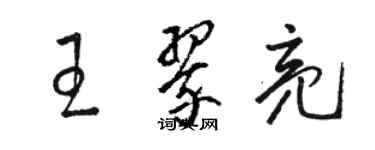 骆恒光王翠亮草书个性签名怎么写