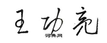 骆恒光王功亮草书个性签名怎么写