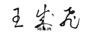 骆恒光王成飞草书个性签名怎么写