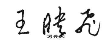 骆恒光王映飞草书个性签名怎么写