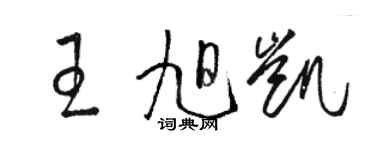 骆恒光王旭凯草书个性签名怎么写