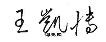 骆恒光王凯博草书个性签名怎么写