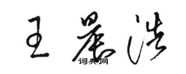 骆恒光王晨浩草书个性签名怎么写