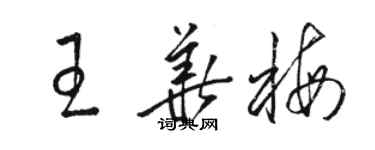 骆恒光王华梅草书个性签名怎么写