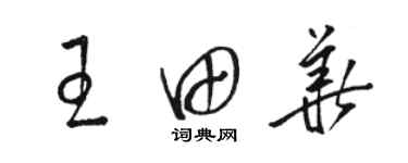 骆恒光王田华草书个性签名怎么写