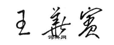 骆恒光王华宾草书个性签名怎么写