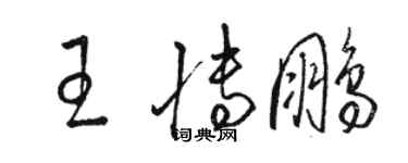 骆恒光王博鹏草书个性签名怎么写