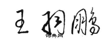 骆恒光王羽鹏草书个性签名怎么写