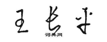 骆恒光王长平草书个性签名怎么写