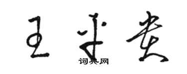 骆恒光王平贵草书个性签名怎么写