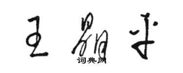 骆恒光王晶平草书个性签名怎么写