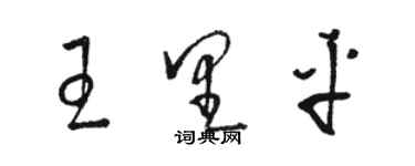 骆恒光王里平草书个性签名怎么写