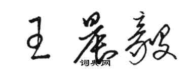 骆恒光王晨毅草书个性签名怎么写