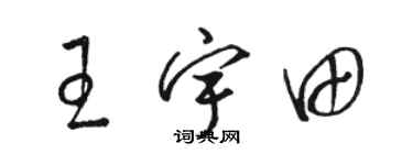 骆恒光王宇田草书个性签名怎么写