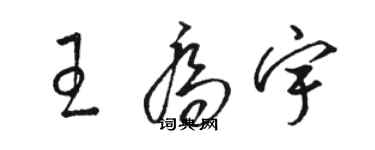 骆恒光王乔宇草书个性签名怎么写