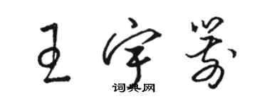 骆恒光王宇箭草书个性签名怎么写