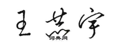 骆恒光王赫宇草书个性签名怎么写