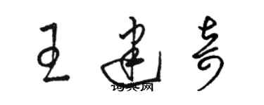 骆恒光王建奇草书个性签名怎么写