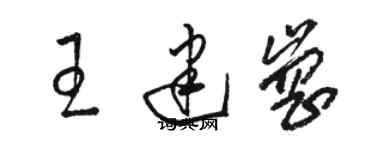 骆恒光王建岗草书个性签名怎么写