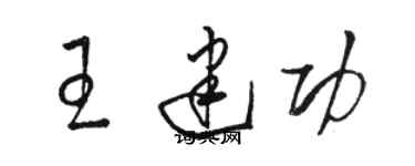 骆恒光王建功草书个性签名怎么写