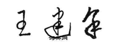 骆恒光王建余草书个性签名怎么写