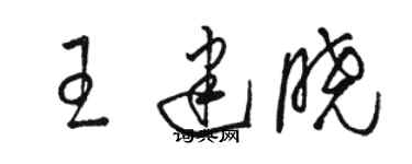 骆恒光王建晓草书个性签名怎么写