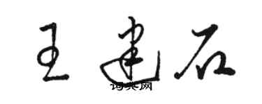 骆恒光王建石草书个性签名怎么写