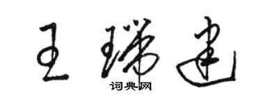 骆恒光王瑞建草书个性签名怎么写