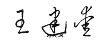骆恒光王建爱草书个性签名怎么写