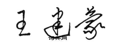 骆恒光王建蒙草书个性签名怎么写