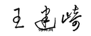 骆恒光王建崎草书个性签名怎么写