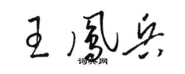 骆恒光王凤兵草书个性签名怎么写