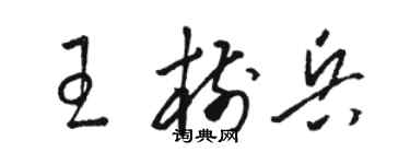 骆恒光王树兵草书个性签名怎么写