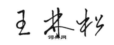 骆恒光王林松草书个性签名怎么写