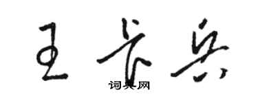骆恒光王卡兵草书个性签名怎么写