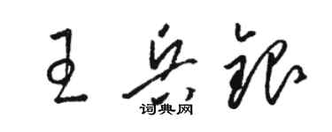 骆恒光王兵银草书个性签名怎么写