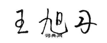骆恒光王旭丹草书个性签名怎么写