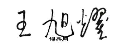 骆恒光王旭耀草书个性签名怎么写
