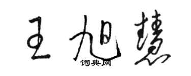 骆恒光王旭慧草书个性签名怎么写